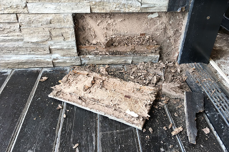 Termite Damage Under Tile
