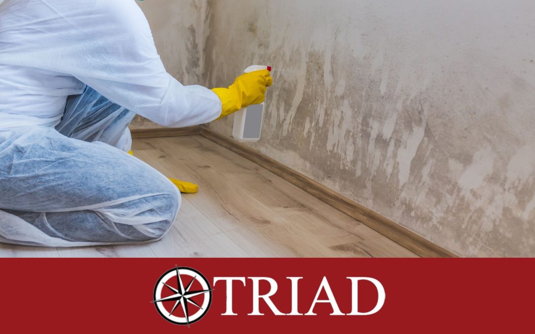 Using Mold Assessments to Support Your Insurance Claim Case