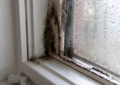 Mold Corner Of Window