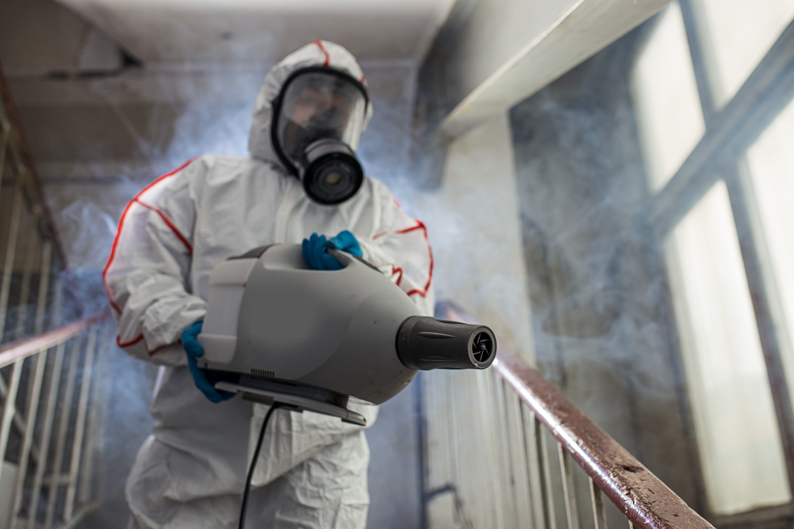 mold assessment and protocol evaluation