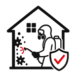 Safe and Effective Mold Removal for Mold Remediation in Dunedin FL by TRIAD