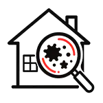 Thorough Mold Inspection for Mold Remediation in Dunedin FL by TRIAD
