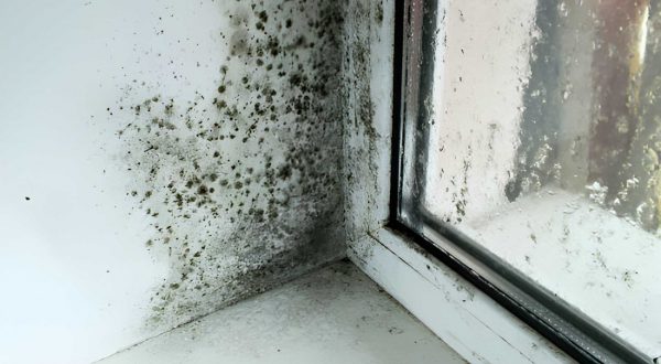 Construction Services 1 (2)